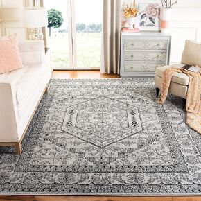 SAFAVIEH Adirondack Collection Area Rug - 8' x 10', Silver & Black, Oriental Medallion Design, Non-Shedding & Easy Care, Ideal for High Traffic Areas in Living Room, Bedroom (ADR108A)