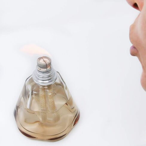 مجموعة هدايا لامب بيرغر آيس كيوب - موزع عطور منزلي - عطر - 5.5 × 3 × 3 بوصة - صنع في فرنسا - يشمل عطر نسيم المحيط 8.45 مرة سائلة - 250 ملليلتر (ريش) in Saudi Arabia