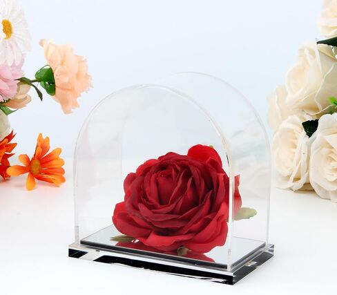 علبة عرض أكريليك مقوسة للمقتنيات، منظم حامل صندوق تخزين على سطح الطاولة مع قاعدة مرآة، صناديق أكريليك شفافة للمعادن الأحفورية المرجانية الكريستالية نموذج تمثال عرض in Kuwait