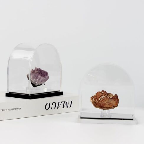 علبة عرض أكريليك مقوسة للمقتنيات، منظم حامل صندوق تخزين على سطح الطاولة مع قاعدة مرآة، صناديق أكريليك شفافة للمعادن الأحفورية المرجانية الكريستالية نموذج تمثال عرض in Kuwait
