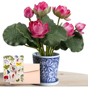 SNAIL GARDEN 2 Bouquets Artificial Lotus Flowers, Real-Touch Water Lily Simulation Tabletop Flower for Party, Home Office Arrangements Indoor Outdoor Decoration