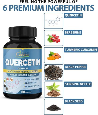 كادان عضوي، عبوتان من مكملات كيرسيتين تعادل 1900 ملغ، تكفي لمدة 4 أشهر مع الكركم، البربارين، نبات القراص، الحبة السوداء، الفلفل الأسود - يدعم صحة القلب والأوعية الدموية، والجهاز المناعي in Kuwait