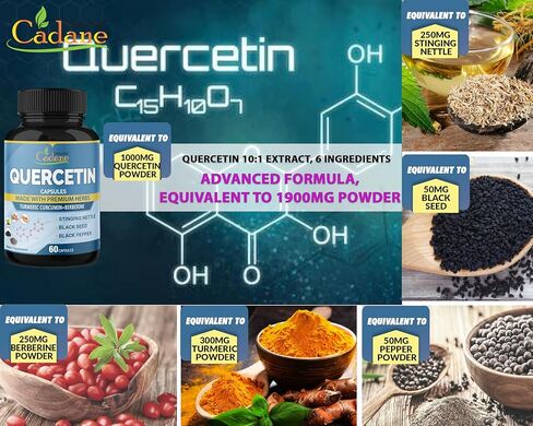 كادان عضوي، عبوتان من مكملات كيرسيتين تعادل 1900 ملغ، تكفي لمدة 4 أشهر مع الكركم، البربارين، نبات القراص، الحبة السوداء، الفلفل الأسود - يدعم صحة القلب والأوعية الدموية، والجهاز المناعي in Kuwait