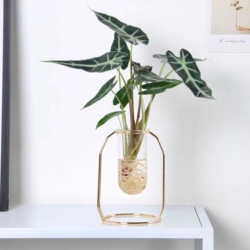 مزهرية زجاجية مع حامل معدني، نباتات زجاجية لسطح المكتب بتصميم هندسي حديث، نباتات مائية داخلية للمنزل والمكتب والحديقة وديكور الزفاف in Kuwait