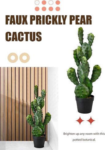 Serene Spaces Living Artificial Prickly Pear Cactus in Plastic Black Pot, Lifelike Potted Bunny Ear Cactus for Balcony, Living Room, Kitchen, Office, Patio, Entranceway, 11" Diameter & 27" Tall in Saudi Arabia