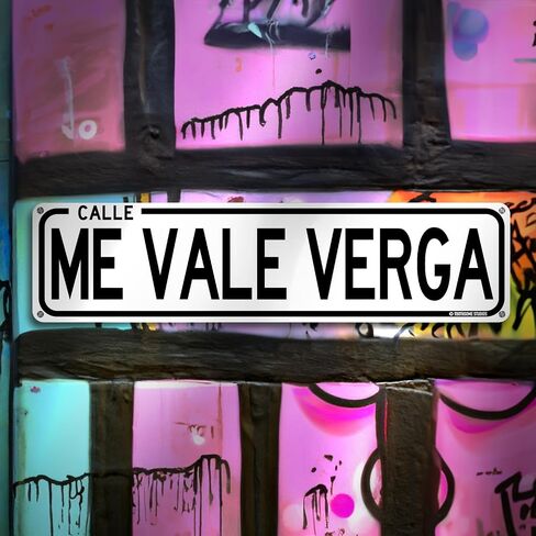Callejon De Los Borrachos Funny Mexican Spanish Humor 16" x 4" Street Sign CDMX Calle Mexico City Home Bar Latino Humor Wall Decor (LosBorrachosStreet) in Saudi Arabia