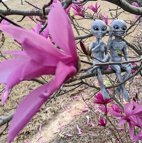 Alien Invasion Ledge Loungers “Peace & Quiet" 10″ H UFO Extraterrestrial Garden Alien Statues Figurine Set – Alien Gray in Saudi Arabia