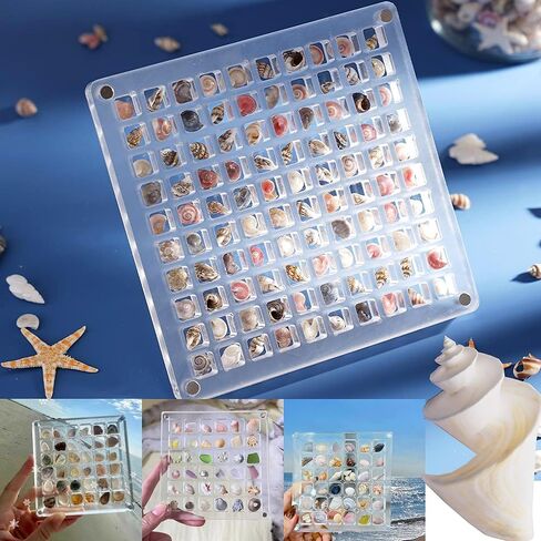 صندوق عرض الصدف المغناطيسي الأكريليكي 36 شبكة صندوق تخزين الصدف لخرز الماس الصدف ميزة صندوق عرض الصدف المغناطيسي الأكريليكي لتخزين الصدف الشفاف in Kuwait