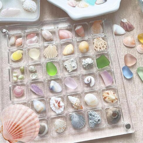 صندوق عرض الصدف المغناطيسي الأكريليكي 36 شبكة صندوق تخزين الصدف لخرز الماس الصدف ميزة صندوق عرض الصدف المغناطيسي الأكريليكي لتخزين الصدف الشفاف in Kuwait