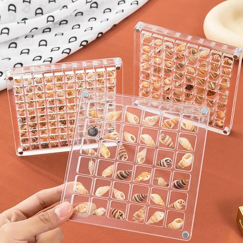 صندوق عرض الصدف المغناطيسي الأكريليكي 36 شبكة صندوق تخزين الصدف لخرز الماس الصدف ميزة صندوق عرض الصدف المغناطيسي الأكريليكي لتخزين الصدف الشفاف in Kuwait