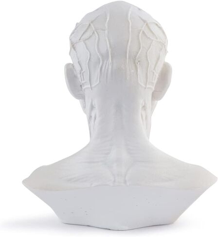 Gaolinci 4-Inch Portable Human Model Craft Anatomy Skull Head Muscle Bone Medical Artist Drawing Study in Kuwait