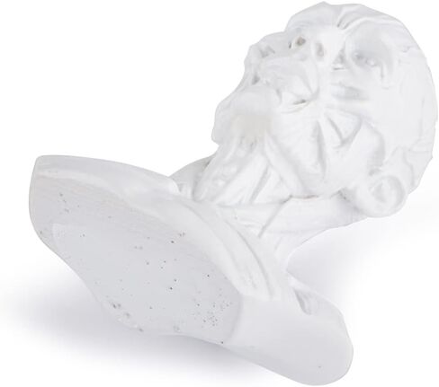Gaolinci 4-Inch Portable Human Model Craft Anatomy Skull Head Muscle Bone Medical Artist Drawing Study in Kuwait