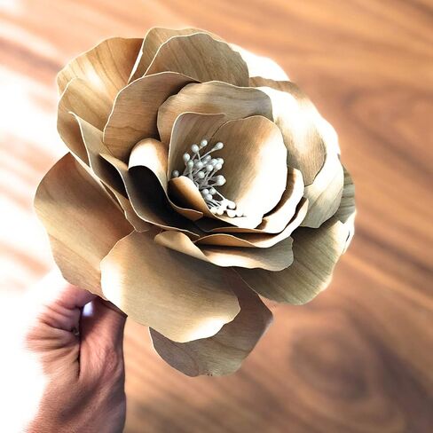 ورق خشب البتولا الأبيض من Cardstock Warehouse 30.48 × 30.48 سم - 12Pt Text- 10 ورقات in Kuwait