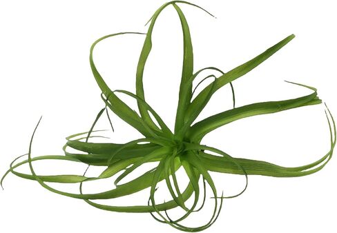 Fake Artificial Tillandsia Air Plants That Look Real 14", Faux Bromeliads for Garden Home Decor 3 Pack, Indoor Outdoor Realistic Stems for Display (Large) in Kuwait
