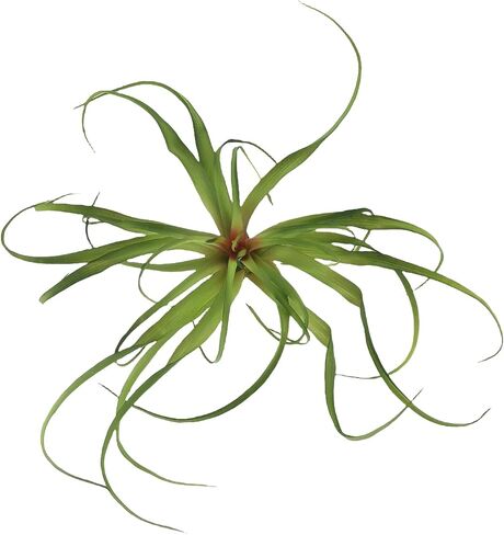 Fake Artificial Tillandsia Air Plants That Look Real 14", Faux Bromeliads for Garden Home Decor 3 Pack, Indoor Outdoor Realistic Stems for Display (Large) in Kuwait