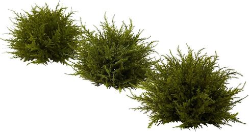Nearly Natural 4949-S3 Cedar Balls, 7.5-Inch, Green, Set of 3,6.75" x 6.75" x 22.5" in Saudi Arabia
