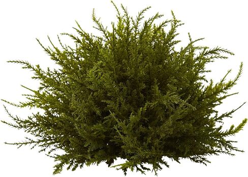 Nearly Natural 4949-S3 Cedar Balls, 7.5-Inch, Green, Set of 3,6.75" x 6.75" x 22.5" in Saudi Arabia