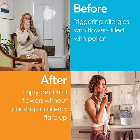 نبات اللافندر المزيف من Houseables، أرجواني، 4 حزم، بلاستيك، صناعي، متجمد، 14 بوصة - 14.5 بوصة، ديكور، حديث، ديكورات رف، للداخلية، الخارجية، المنزل، ملحقات غرفة النوم، المطبخ، غرفة المعيشة in Kuwait