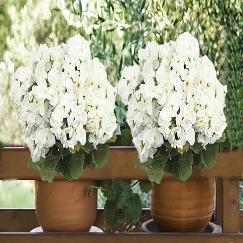 FERIAL4PCS زهور حرير إبرة الراعي الحمراء الاصطناعية في الهواء الطلق نبات بوش زهور صناعية إبرة الراعي لديكور المنزل الأزهار في الهواء الطلق داخلي حديقة فناء قبر مزهرية الجدول المركزية in Kuwait