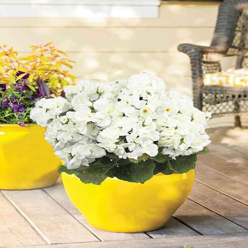 FERIAL4PCS زهور حرير إبرة الراعي الحمراء الاصطناعية في الهواء الطلق نبات بوش زهور صناعية إبرة الراعي لديكور المنزل الأزهار في الهواء الطلق داخلي حديقة فناء قبر مزهرية الجدول المركزية in Kuwait