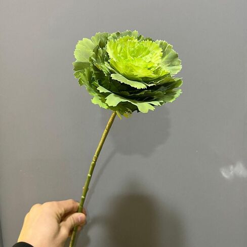 2Pcs Artificial Faux Cabbage Rose Flowers Stems Fake Silk Flower Branch for Home Decoration Wedding Kitchen Decoration (White) in Saudi Arabia