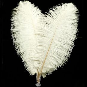 Soarer Black Ostrich Feathers Bulk - 30pcs 8-10 inches for Wedding Party Centerpieces, Home Decorations and DIY Crafts(Black)