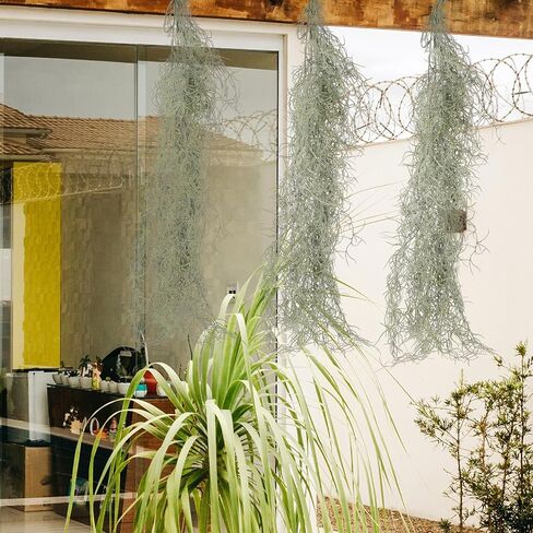 BESTOYARD Simulated Hanging Vine Moss 36 Inch Hanging Vines Garland Fake Green Planters Reindeer Moss Faux Vines Fake Air Plants Plastic for Wedding in Kuwait