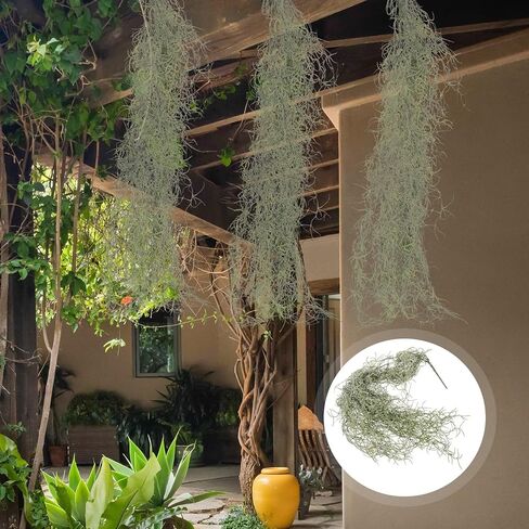 BESTOYARD Simulated Hanging Vine Moss 36 Inch Hanging Vines Garland Fake Green Planters Reindeer Moss Faux Vines Fake Air Plants Plastic for Wedding in Kuwait