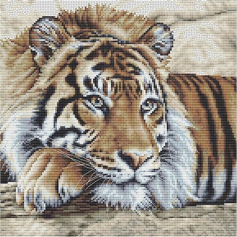 Thea Gouverneur - Counted Cross Stitch Kit - Tiger - Black Aida - 14 Count - for Adults - 579.05 in Saudi Arabia