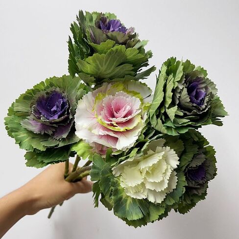 2Pcs Artificial Faux Cabbage Rose Flowers Stems Fake Silk Flower Branch for Home Decoration Wedding Kitchen Decoration (White) in Saudi Arabia