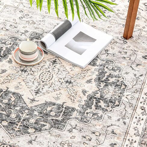 Asrug 3x5 Vintage Area Rug-Machine Washable Doormat Rug Low Pile Distressed Mat Medallion Floor Cover Carpet with Non-Slip Backing for Living Room Dinning Room Bedroom Entrance Indoor，Pink in Saudi Arabia