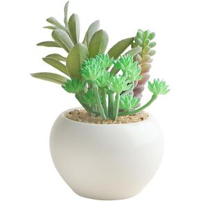 Artificial Succulent Plants in Pots,Small Faux Colorful Succulents Plants for Bathroom Home Office Living Room Table Decor Indoor Outdoor