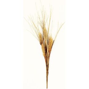 Worth Imports 20" Artificial Wheat Spray, Set of 6