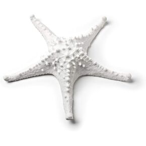 Abbott Collection 3D Starfish, White Home Decor, Medium (7.5" W)