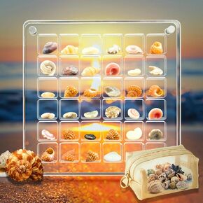 Seashell Display Box with 36 Shells【Crystal Clear】 Shell Display Case【PMMA Acrylic Boxes 】 with Mesh Zipper Pouch for Display Seashell for Beach Sea Family Party