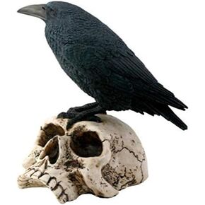 Raven on Skull Collectible Bird Crow Skeleton Figurine Statue Model