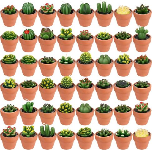 48 Pcs Succulent Cactus Tealight Candles Baby Shower Plant Candles Bridal Shower Cactus Candles Novelty Handmade Tealight Terrarium Plant Candles for Party Favor Fiesta Birthday Wedding Home Decor in Saudi Arabia