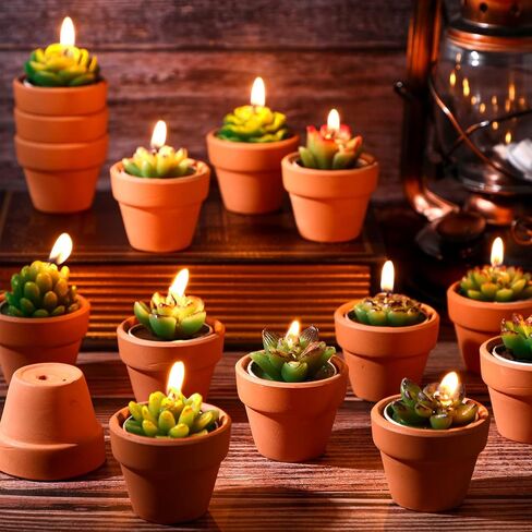 48 Pcs Succulent Cactus Tealight Candles Baby Shower Plant Candles Bridal Shower Cactus Candles Novelty Handmade Tealight Terrarium Plant Candles for Party Favor Fiesta Birthday Wedding Home Decor in Saudi Arabia