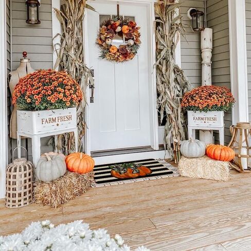 GEEORY Fall Door Mat, 17x29 Inch Pumpkin Stripe Bowknot Door Mats Decorative Thanksgiving Farmhouse Home Floor Rug, Indooor & Outdoor Entrance Decor (Striped) GK058 in Kuwait