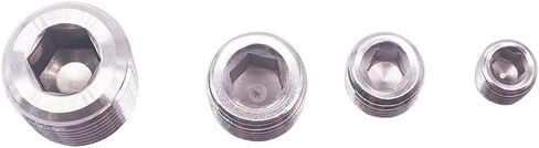 20 PCS Pipe Plug Fitting Set 304 Stainless Steel 1/8 Inch 1/4 inch 3/8 inch 1/2 inch NPT Male in Saudi Arabia