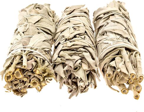 6" White Sage Sticks - 2 Pack - Medium Smudge Incense Sticks for Spiritual Cleansing, Sage Smudge Kit Refills, Meditation, Witchcraft Supplies, Spiritual Gifts - Alternative Imagination in Saudi Arabia
