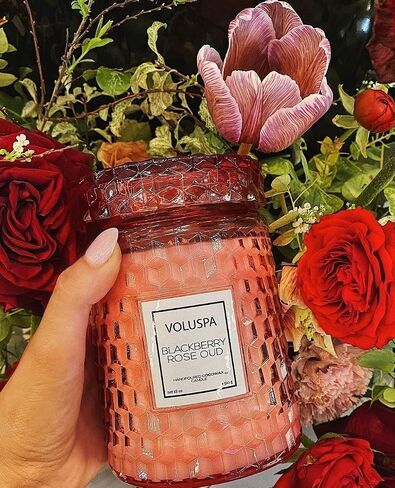 Voluspa Milk Rose, Large Candle Jar, 18 Ounce, 100 Hour Burn Time, All Natural Wicks and Coconut Wax for Clean Burning, Vegan, Poured in The USA in Saudi Arabia