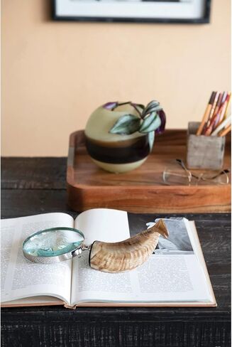 Creative Co-Op Stainless Steel Horn Handle Magnifying Glass, 4" L x 4" W x 10" H, Natural in Saudi Arabia