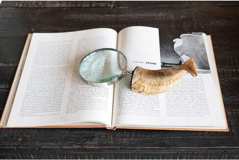 Creative Co-Op Stainless Steel Horn Handle Magnifying Glass, 4" L x 4" W x 10" H, Natural in Saudi Arabia