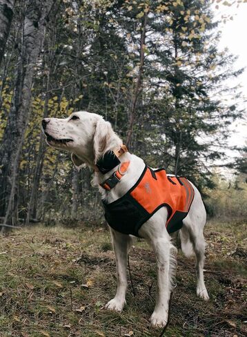 Browning Pet Vests, Hi Vis Safety Vests for Dogs, Safety Orange, Large, Adjustable Coverage in Saudi Arabia