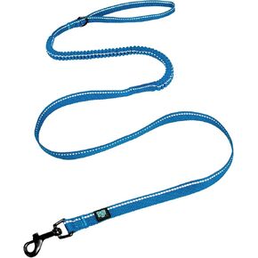 Good Scout Heavy Duty Bungee Leash, Walking & Training Leash for Puppies & Adult Dogs, Blue, Small