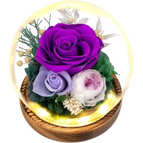 TGELATA Preserved Flower Rose Gifts for Women, Fresh Flowers Floral Gift for/Mom/Girlfriends/Wife, Birthday Gifts for Women, Mothers Day, Christmas, Forever Roses Romantic Gifts for Thank You