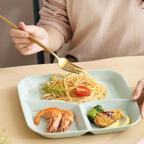 10 Inch Portion Control Divided Plates for Healthy Eating, 4PCS Unbreakable Wheat Straw Dinner Plate BPA Free, Plates for Kids Adults Picnic,Reusable Plates (4 PACK) in Saudi Arabia