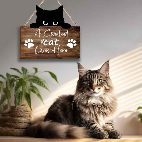 علامة خشبية مضحكة للقطط، هدايا لمحبي القطط للنساء، هدايا لمحبي القطط، قطة مدللة تعيش هنا معلقة مطبوعة على الحائط لوحة خشبية، لوحات جدارية معلقة على شكل قطة مضحكة لمحبي القطط والقطط والأم المراهقات والنساء والرجال-31 in Kuwait