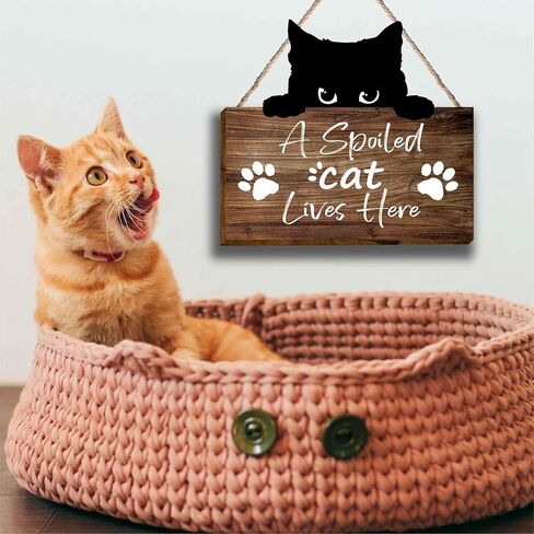 علامة خشبية مضحكة للقطط، هدايا لمحبي القطط للنساء، هدايا لمحبي القطط، قطة مدللة تعيش هنا معلقة مطبوعة على الحائط لوحة خشبية، لوحات جدارية معلقة على شكل قطة مضحكة لمحبي القطط والقطط والأم المراهقات والنساء والرجال-31 in Kuwait
